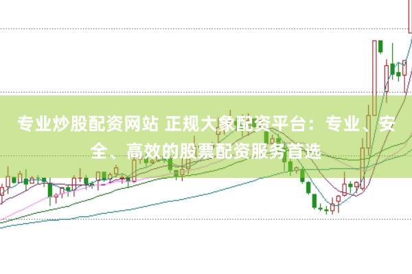 专业炒股配资网站 正规大象配资平台：专业、安全、高效的股票配资服务首选