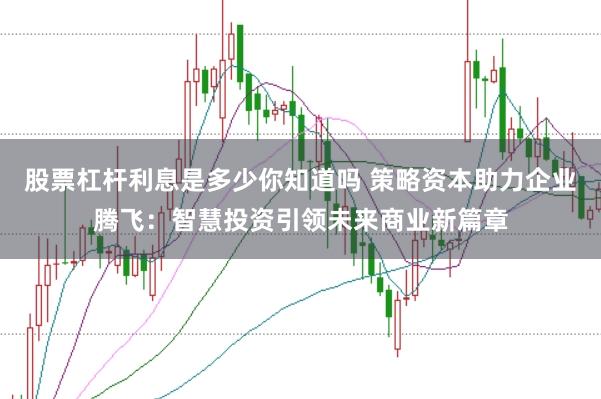 股票杠杆利息是多少你知道吗 策略资本助力企业腾飞：智慧投资引领未来商业新篇章