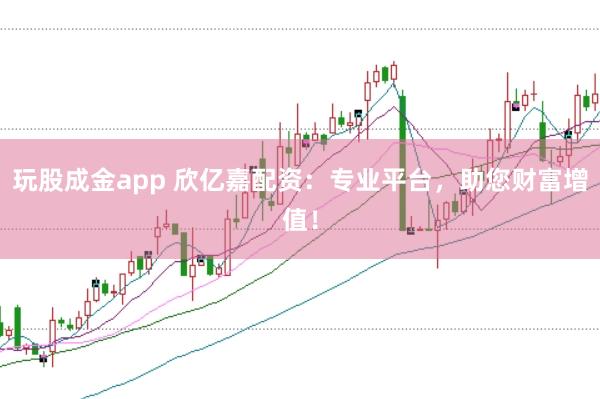 玩股成金app 欣亿嘉配资：专业平台，助您财富增值！
