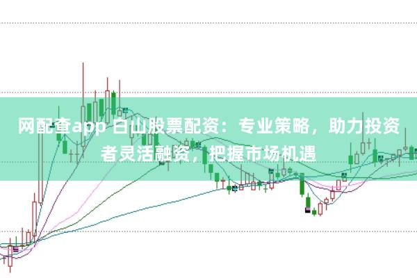 网配查app 白山股票配资：专业策略，助力投资者灵活融资，把握市场机遇