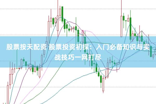 股票按天配资 股票投资初探：入门必备知识与实战技巧一网打尽