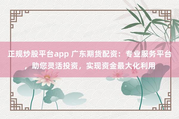 正规炒股平台app 广东期货配资：专业服务平台，助您灵活投资，实现资金最大化利用