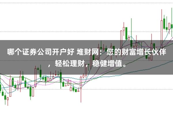 哪个证券公司开户好 堆财网：您的财富增长伙伴，轻松理财，稳健增值。