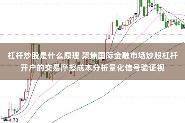 杠杆炒股是什么原理 聚焦国际金融市场炒股杠杆开户的交易摩擦成本分析量化信号验证视