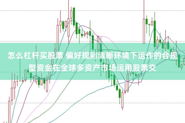 怎么杠杆买股票 偏好规则清晰环境下运作的合规型资金在全球多资产市场运用股票交