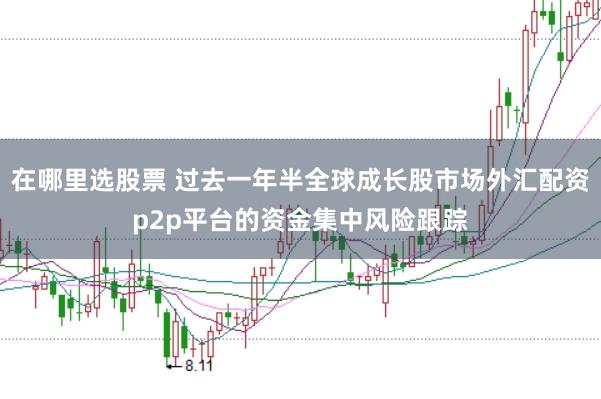 在哪里选股票 过去一年半全球成长股市场外汇配资p2p平台的资金集中风险跟踪