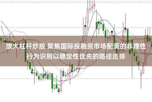 放大杠杆炒股 聚焦国际投融资市场配资的非理性行为识别以稳定性优先的路径选择