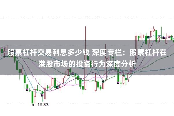 股票杠杆交易利息多少钱 深度专栏：股票杠杆在港股市场的投资行为深度分析