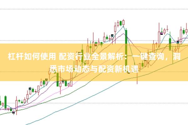 杠杆如何使用 配资行业全景解析：一键查询，洞悉市场动态与配资新机遇