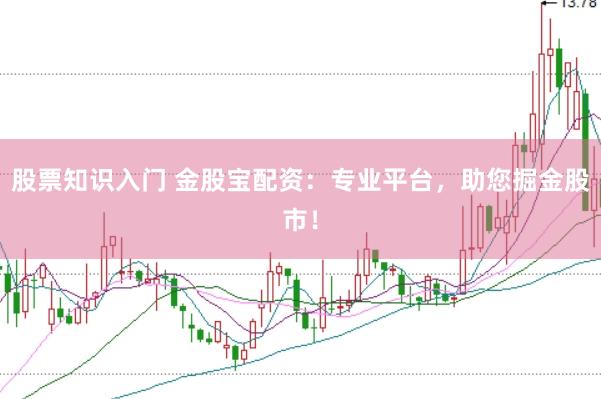 股票知识入门 金股宝配资：专业平台，助您掘金股市！